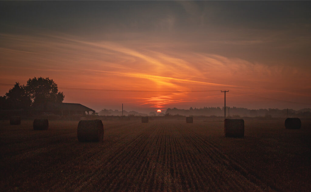 Farm at sunrise